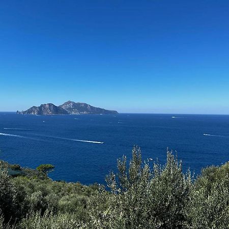 Apartment Don Luigino - Capri View By Interhome Massa Lubrense Exteriér fotografie