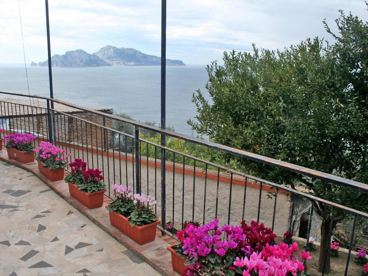 Apartment Don Luigino - Capri View By Interhome Massa Lubrense Exteriér fotografie